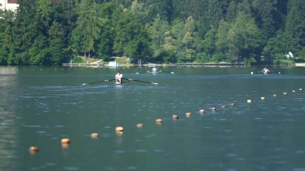 Atletas profesionales propulsando barcos en el agua, entrenamiento, deporte de remo — Vídeo de stock