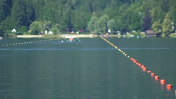 Školení před veslování konkurence, sportovci si užívat vodní sport, životní styl — Stock video