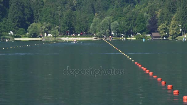 Спортсмены гребут на красивом озере, команды участвуют в лодочных гонках — стоковое видео