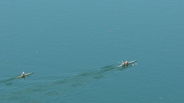 Vue de dessus sur les équipes pagayant à travers le lac, le sport d'aviron professionnel, la compétition — Video