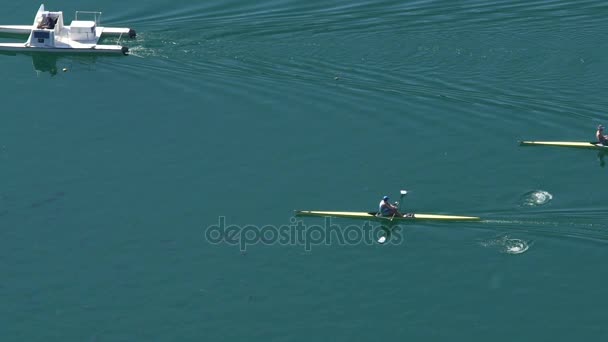 Professional athletes rowing boats at competition, water sports, slow motion — Stock Video