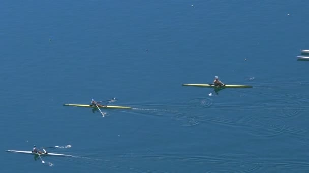 물 스포츠 경쟁, 구조 팀 rowers, 활동적인 라이프 스타일을 위해 밖으로 보고 — 비디오