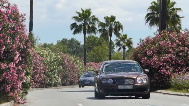 Automóvel caro em movimento na estrada, motorista desfrutando de viagem de carro na cidade resort — Vídeo de Stock