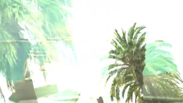 Pleasant memories of vacation and palms in resort town, creative sequence — Stock Video
