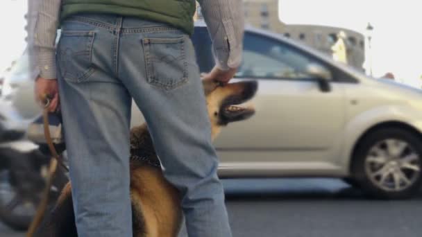 Cego homem de estimação cão guia, pessoa com deficiência visual pronto para atravessar a rua — Vídeo de Stock