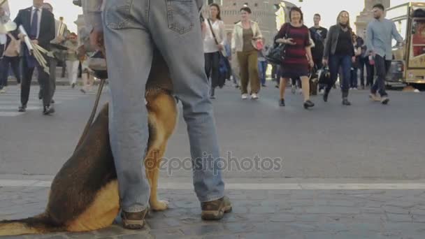 Man and dog without muzzle walking in crowd of people in city, risk of dog bites — Stock Video