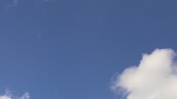 Mortarboard flying in clear blue sky, symbol of higher education, happy future — Stock Video