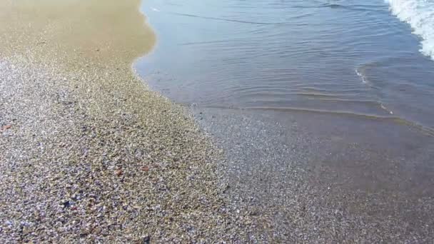 Gelombang musim panas mencuci pasir dan garis pantai yang kaya cangkang, menenangkan permukaan air — Stok Video