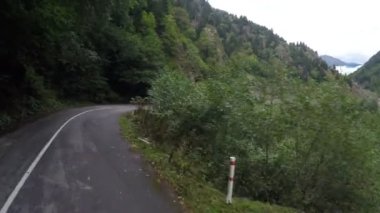 Dağlardaki ağaçları ile çevrili dar dolambaçlı yol tehlikeli sürüş