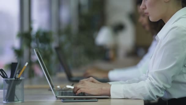 Belle femme tapant sur ordinateur portable, travaillant sur un projet d'entreprise avec un visage concentré — Video
