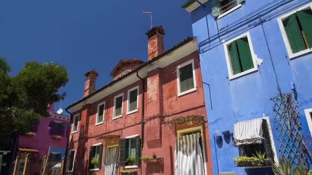 古いぼろぼろ色とりどり家、日当たりの良い通り、ブラーノ島の花 — ストック動画