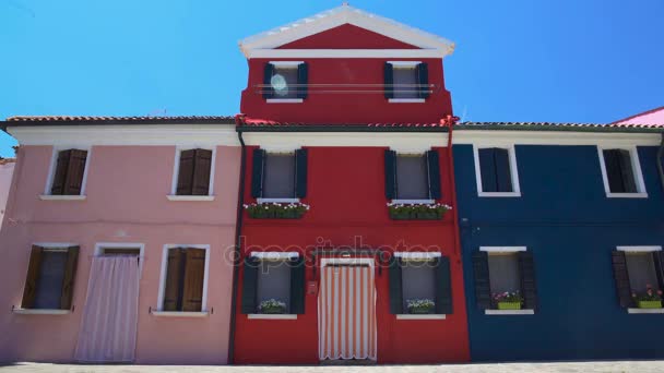 Fantastické růžové, červené a modré domy zdobí pěkné květiny, ostrov Burano — Stock video