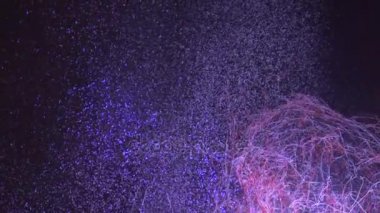 Hava, su altı yosunlar hayat, plankton gizemli soyut nesne