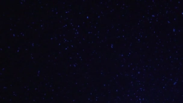 Neige magique comme une plume tombant du ciel nocturne, anges divins venant sur terre 