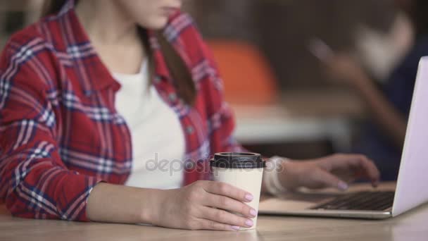 Vacker kvinna chattar med vän på laptop i café, dating app, sociala nätverk — Stockvideo