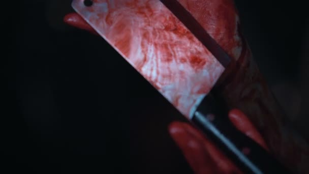 殺人者の手は恐怖で震えて殺人兵器、肉切り包丁を保持 — ストック動画