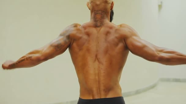 Starker braun gebrannter Bodybuilder demonstriert hintere Doppelbizepspose, muskulöser Mann — Stockvideo