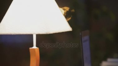 Bilgisayar işten istirahat kadın arkadaş sosyal ağ ile iletişim