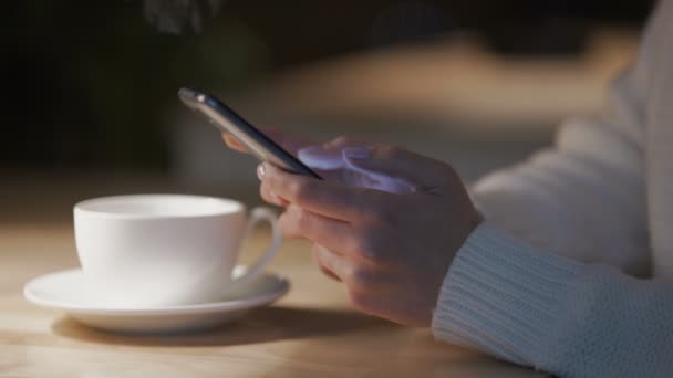 Jovem senhora rolagem, deslizando páginas no smartphone em casa de café aconchegante — Vídeo de Stock