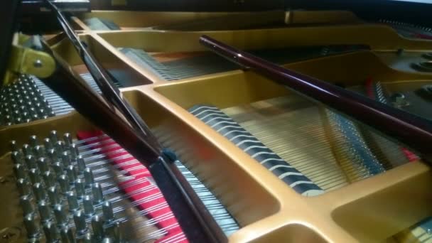 钢琴演奏古典或爵士乐旋律，即兴演奏的内部视图 — 图库视频影像