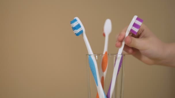 Friska familjemedlemmar tar tandborstar från glas i morgon, lyckliga tillsammans — Stockvideo
