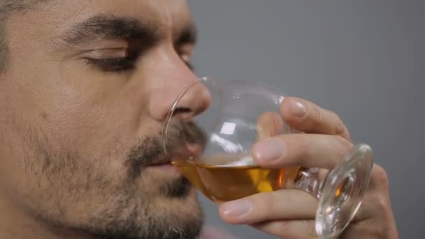 Bebaarde man goede whisky proeverij en inademen van aroma, close-up. Degustatie — Stockvideo