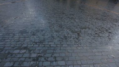 Bilbao, İspanya'da gezi tiyatroda Arriaga, güzel mimari