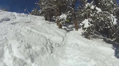 Yokuş aşağı, aktif yaşam acele amatör freeride snowboard komik başarısız