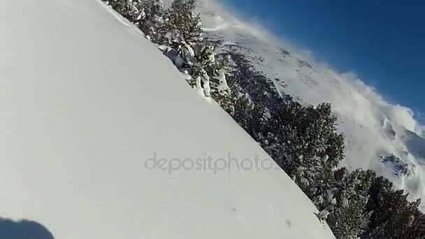 POV de snowboarder desfrutando de passeio livre extremo, caindo na floresta nevada — Vídeo de Stock