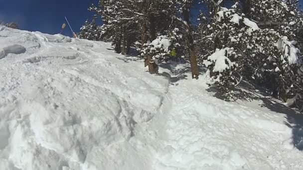 Zabawny awarii Amatorskie freeride snowboardzista pędzi w dół stoku, aktywny tryb życia — Wideo stockowe