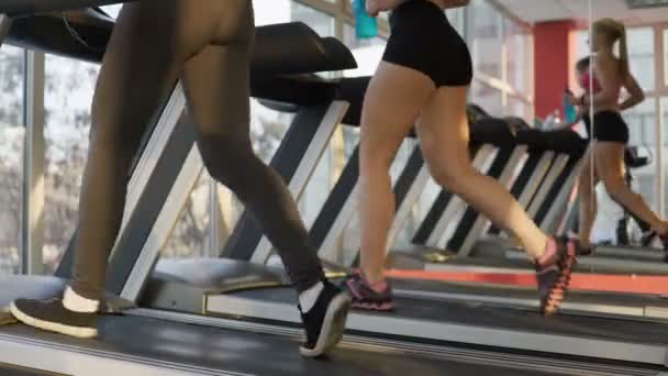 Nasaďte nohy krásných mladých žen, cvičení na běžeckém pásu v posilovně, zdravý život — Stock video