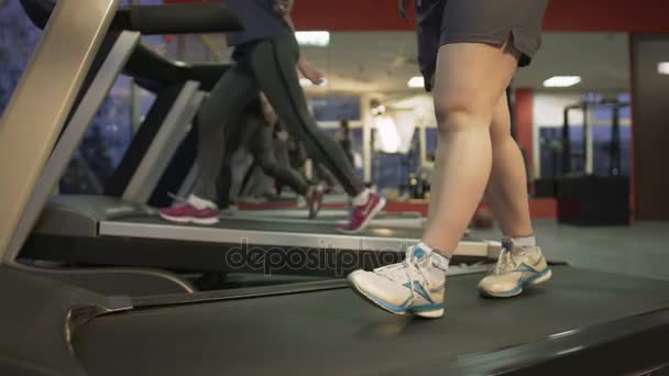 Los pies de la mujer gorda que camina lentamente en la cinta de correr, las señoras sanas que hacen ejercicio en el gimnasio — Vídeo de stock