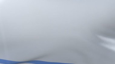 Bayrak bayrak direğine Rüzgar, özgürlük'ın ulusal sembolü üzerinde Altay Cumhuriyeti sallayarak