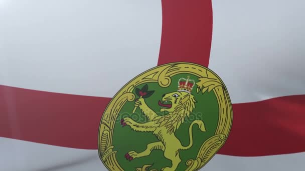 Σημαία του Alderney κυματίζει στο κοντάρι σημαίας στον άνεμο, εθνικό σύμβολο της ελευθερίας — Αρχείο Βίντεο