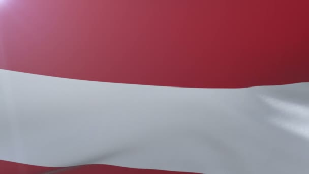 Flag of Austria waving on flagpole in the wind, national symbol of freedom — Stock Video