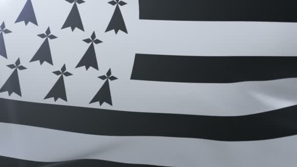 Flagge der Bretagne weht am Fahnenmast im Wind, nationales Symbol der Freiheit — Stockvideo