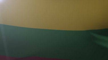 Litvanya bayrak direğine rüzgarda, özgürlük'ın ulusal sembolü sallayarak bayrak