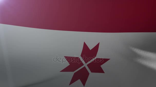 Флаг Мордовии, машущий на флагштоке на ветру, национальный символ свободы — стоковое видео