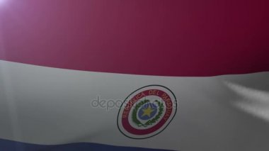 Bayrak bayrak direğine rüzgarda, özgürlük'ın ulusal sembolü üzerinde Paraguay sallayarak
