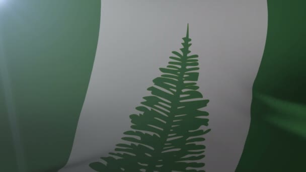風、自由の国の象徴の旗竿に手を振るノーフォーク島の旗 — ストック動画