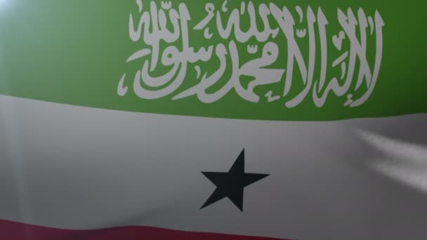 Flagget til Somaliland som vinker på flaggstang i vinden, det nasjonale frihetssymbolet – stockvideo