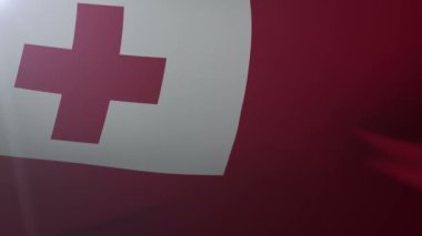 Bayrak bayrak direğine rüzgarda, özgürlük'ın ulusal sembolü üzerinde Tonga sallayarak