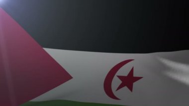 Batı Sahara Rüzgar, özgürlük'ın ulusal sembolü bayrak direğine sallayarak bayrak