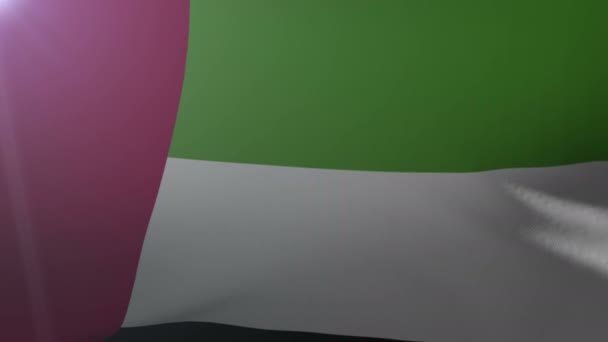 Vlag van Verenigde Arabische Emiraten wuiven in de wind, het nationale symbool van vrijheid — Stockvideo