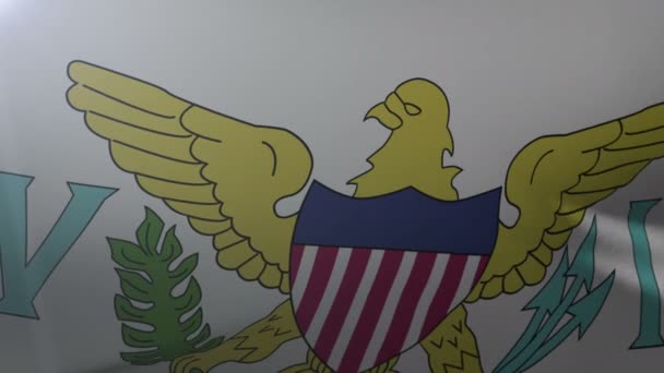 Σημαία των ΗΠΑ Παρθένοι Νήσοι κουνώντας στον άνεμο, εθνικό σύμβολο της ελευθερίας — Αρχείο Βίντεο