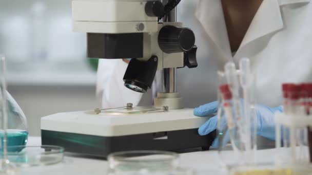 Raça mista bioquímica feminina analisando amostra de bactérias no microscópio, medicina — Vídeo de Stock