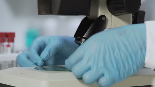 Científico en guantes que ajusta el microscopio para estudiar la muestra después de haber sido puesto antes — Vídeos de Stock