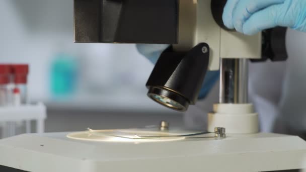 Lentes objetivas do microscópio sendo ajustadas para estudar a amostra em laboratório — Vídeo de Stock