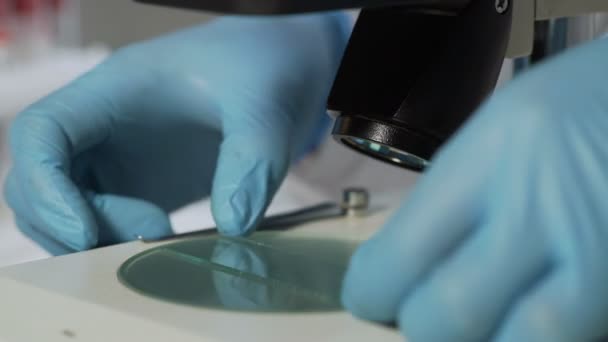 Вчений, який переглядає слайд із зразком вірусу під мікроскопом, медичні дослідження — стокове відео