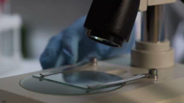 Επιστήμονας βάζοντας δείγμα κάτω από μικροσκόπιο και φωτίζοντάς την, ιατρική έρευνα — Αρχείο Βίντεο
